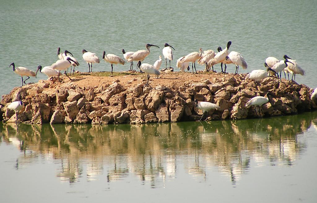 Porbandar – Birthplace of Gandhi – Gujarat Tourism
